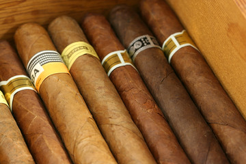 CIGARS